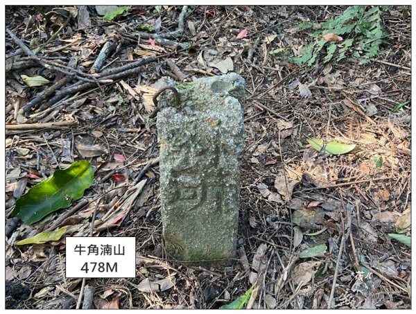 頭寮山、內湳溝山、牛角湳西南峰O型連走2738963