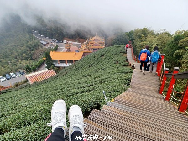 【嘉義梅山】悠閒踏青趣。 雲嘉大尖山、二尖山步道2447256