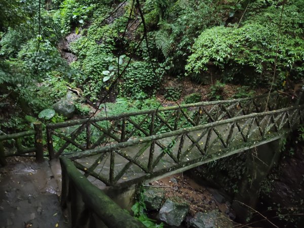 貴子坑報山步道2849835