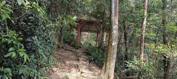 2024/05/10-仙山登山步道2502664