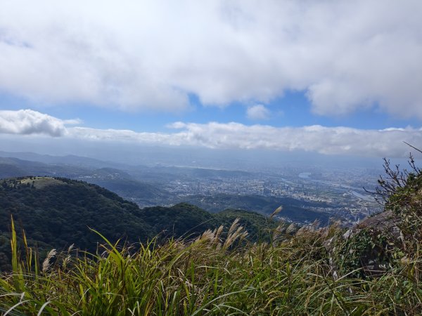 [百山百鳥尋旅-11/15] 2025_0927 大屯主峰-連峰步道_大屯山西峰2899475