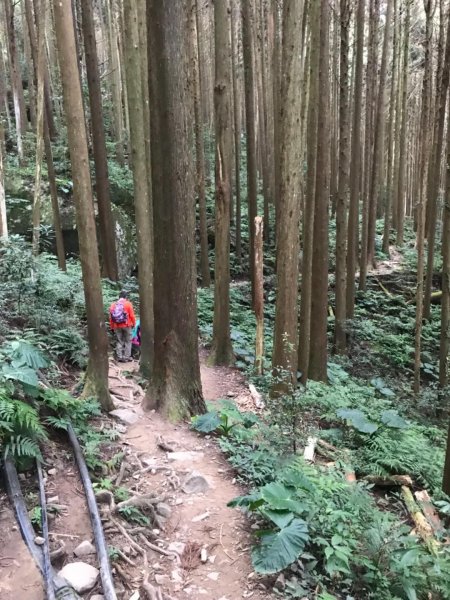 加里山鹿野線461345