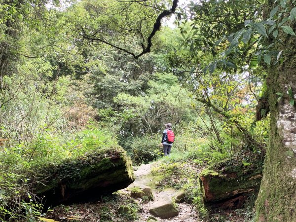 納涼去～頂湖上大凍山 20190622621400