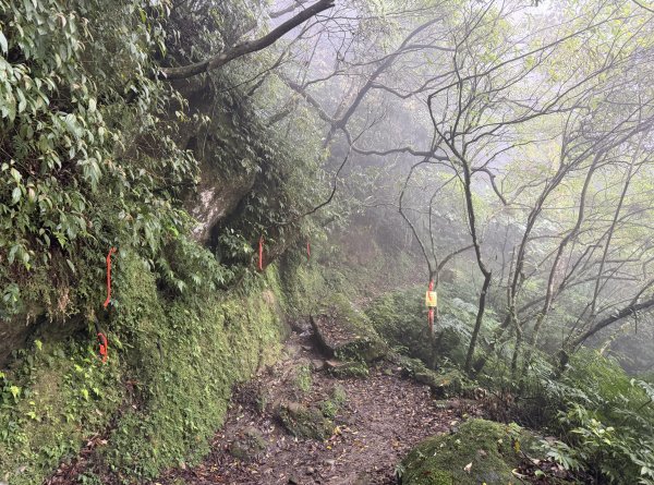 [微笑山線_第八段] 2026_0321 二格山系_二格山3020923