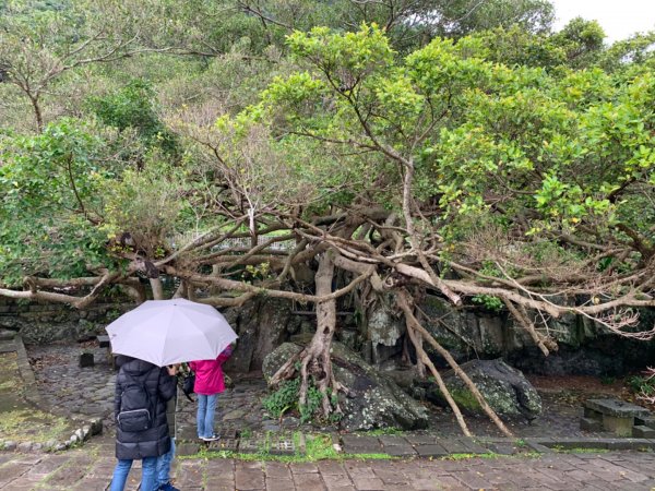 北關海潮公園步道與三貂角燈塔833038