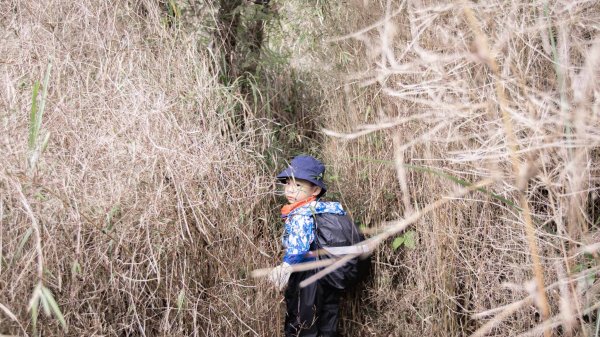 四歲小樂的第八座小百岳-宜蘭三星山封面