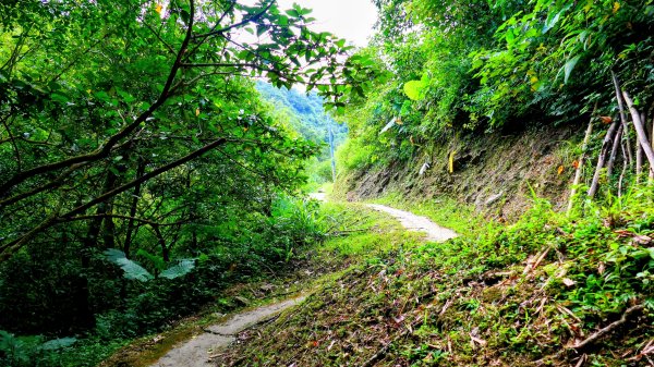 筆架山越嶺2918223