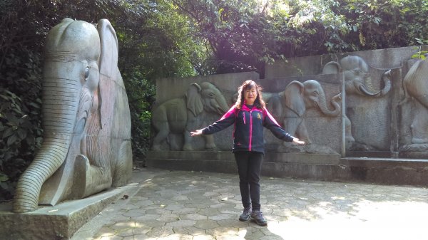 【臺北大縱走 6】象山拇指山南港山九五峰918390