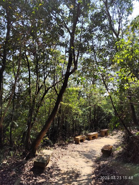 【臺北大縱走 5】碧山巖→忠勇山越嶺步道→金龍產業道路→圓明寺步道→鄭成功廟步道→文間山→劍潭山步道2744824