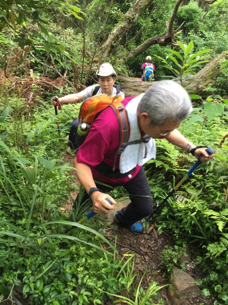 20160521新竹五峰鄉鵝公髻山43472