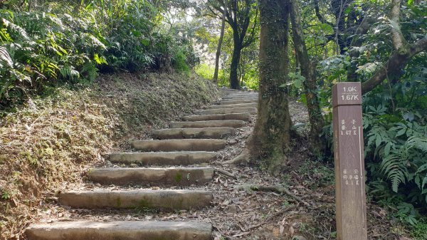 姜子寮山姜子寮瀑布1067280