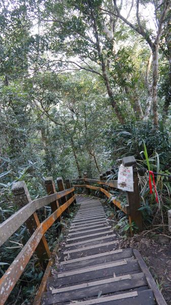 馬那邦山之楓222173