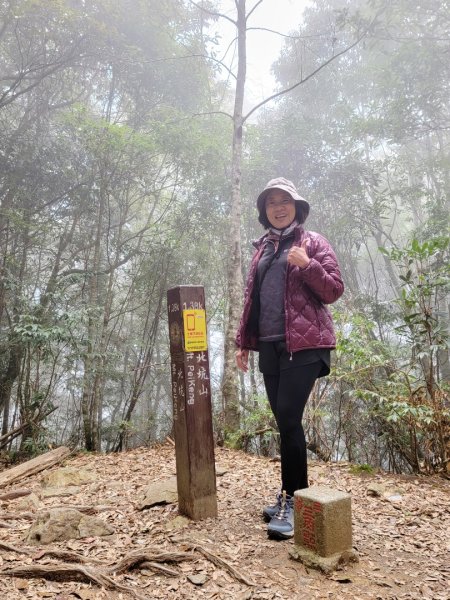 雪見大板根-202502222859805