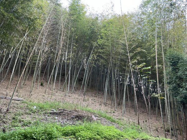 鹿谷長源圳生態步道2726253
