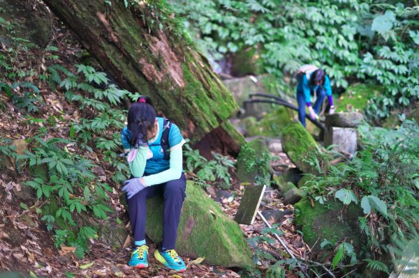 嘎色鬧登那結山2392518