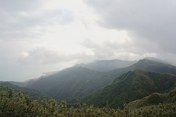 灣坑頭山 桃源谷步道 連走2034846