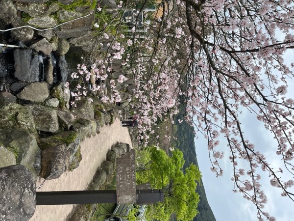 20240314_大屯山+紫明溪步道2855572