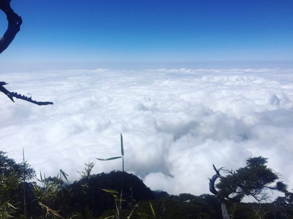 北大武山-西大武山 (五嶽)289313