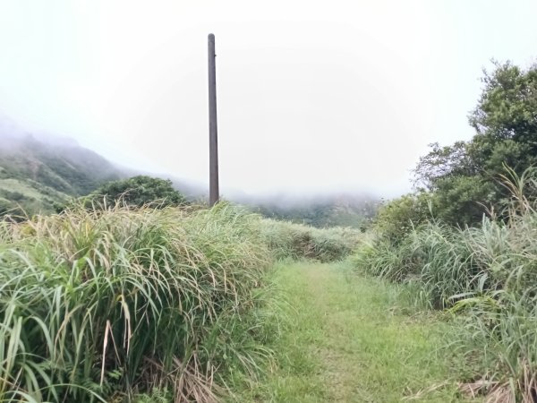 瑞芳區找尋半屏大瀑布未果2880941