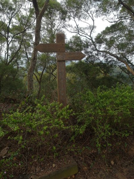 社頭清水岩二棧坪(封閉)麒麟山田中步道131786