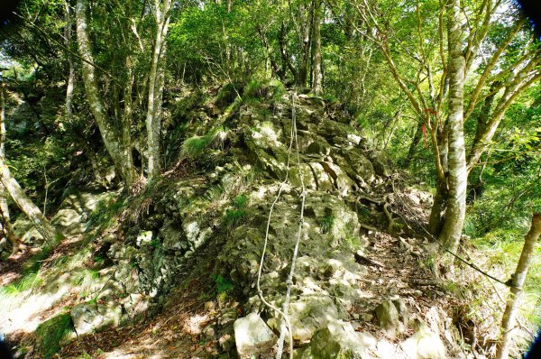 苗栗 泰安 虎山3118674