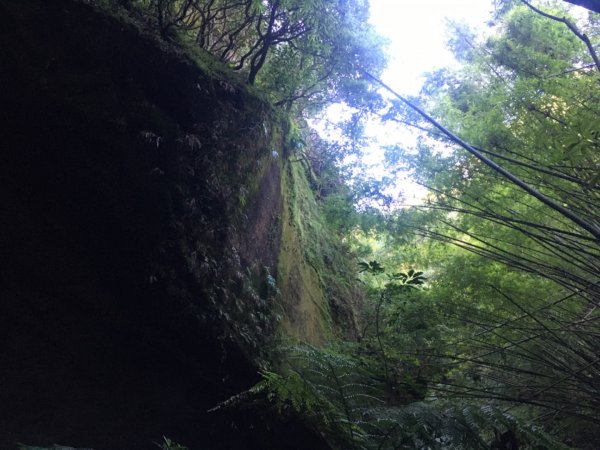 六寮崙山、雞罩山、白雞山8字走2371118