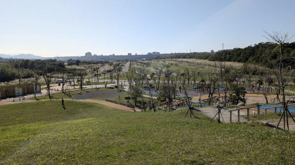 115.01.03山水步道-中庄吊橋-月眉落羽松之旅2977056