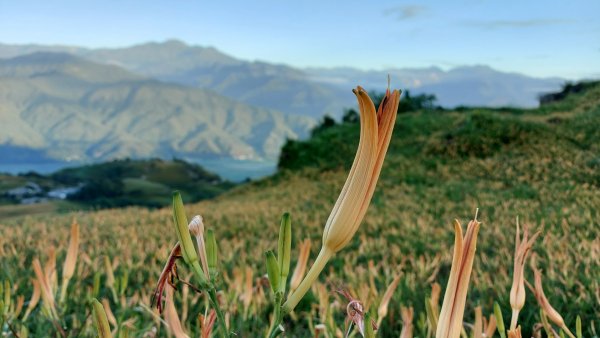 花蓮六十石山202108291617823