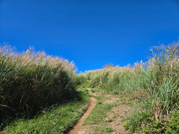 大屯主峰-連峰步道環形（小百岳）2904356