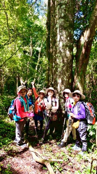 瞭望台-瓊山-望美山-獵人古道2886903