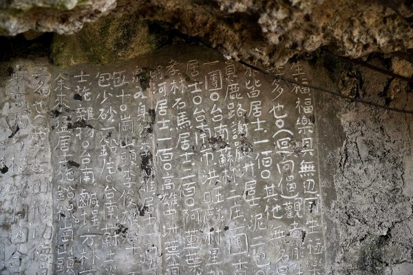 大崗山步道｜小百岳2812783