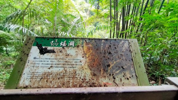 雲潭瀑布步道/青年嶺步道/燕子崖/蝙蝠洞/野薑花溪步道/綠色隧道 環狀1779358