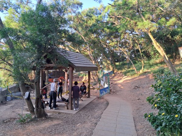 新竹鳳崎落日，司馬庫斯神木群，李崠山步道3131070