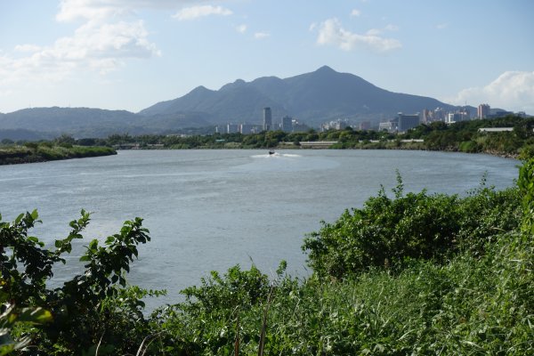 關渡水岸公園1156254