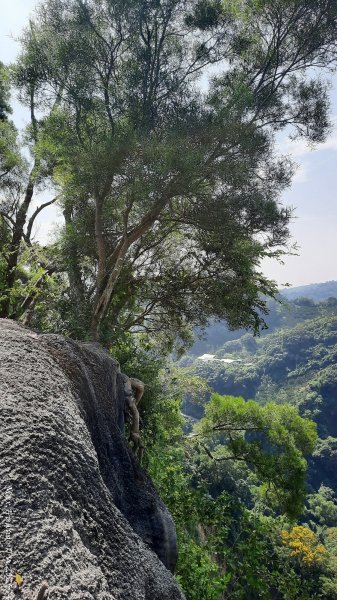 《台中》郊山飆汗｜潭子新田登山步道上聚興山O繞202510042904461