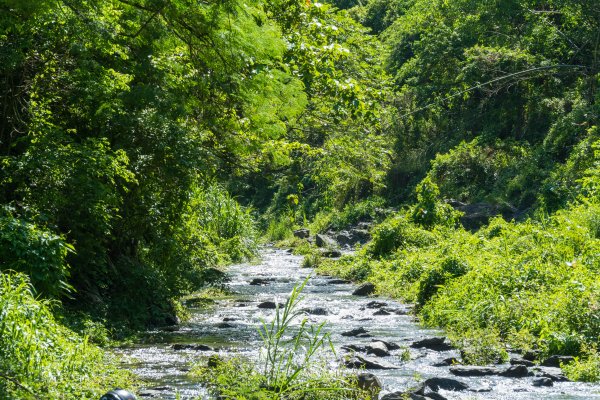 【海神宮】屏東三地門入門溯溪首選，路程短景觀美，滑瀑跳水游泳樣樣都能玩，最棒消暑場地2176470