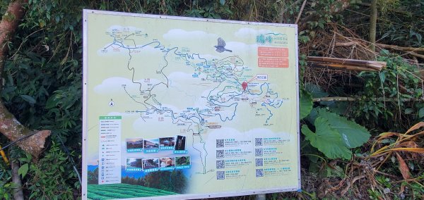 2025-01-30瑞太古道2704359