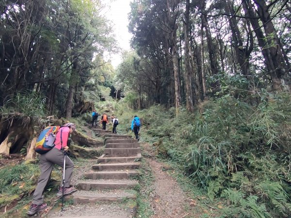 大塔山、對高岳、小笠原 O型環線1195234