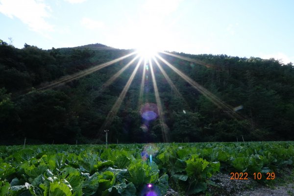 臺中 和平 志佳陽山1894116