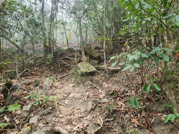 白雲山步道（小百岳）1334322