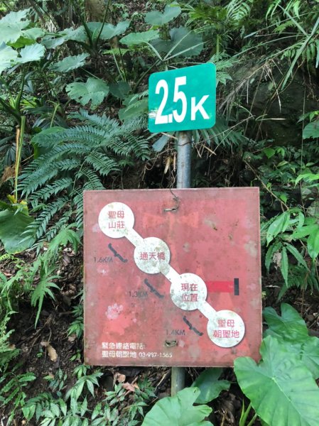 療癒系抹茶山，小百岳三角崙山，五峰旗瀑布1029852