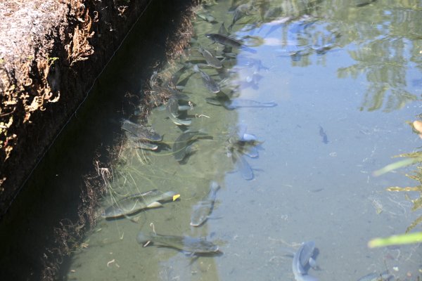 2025_0628 溪瀧步道2824973