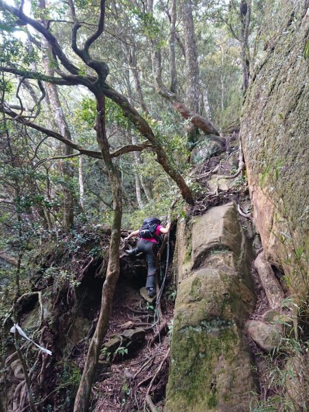 那結山（嘎色鬧部落線）893439