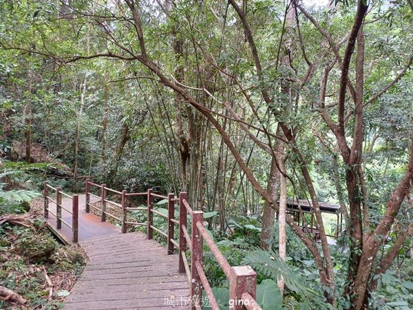 【苗栗南庄】沿途潺潺溪水聲。 蓬萊溪護魚步道2688930