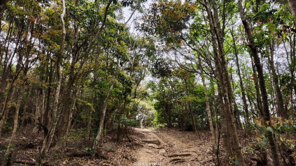 【海外健行】香港四徑 The Four Trails3031659