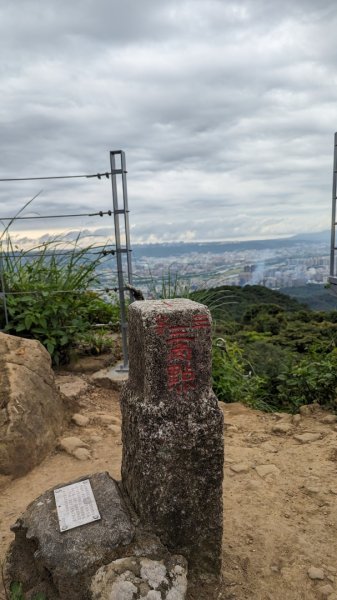 天上山 桐花公園來回2190980