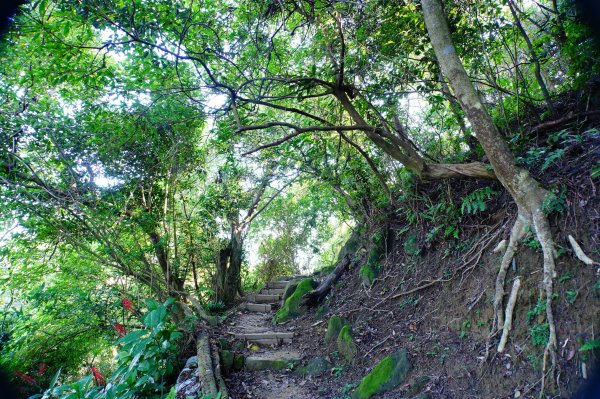 新北 土城 天上山、五城山、文筆山、五尖山、牛埔頭山、大尖山、二尖山、內冷水坑山、石門山、南天母山3134918