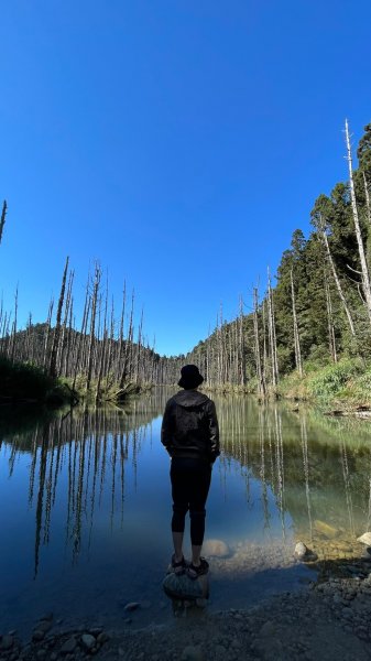 遺世仙境！嘉義夢幻奇景水漾森林-兩天一夜1227574