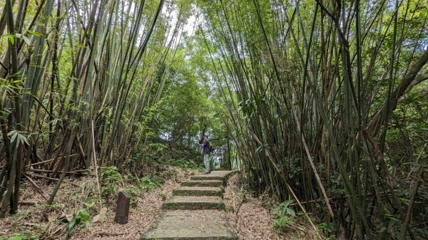 112.04.29走遍陽明山尋寶任務之坪頂古圳步道2137387