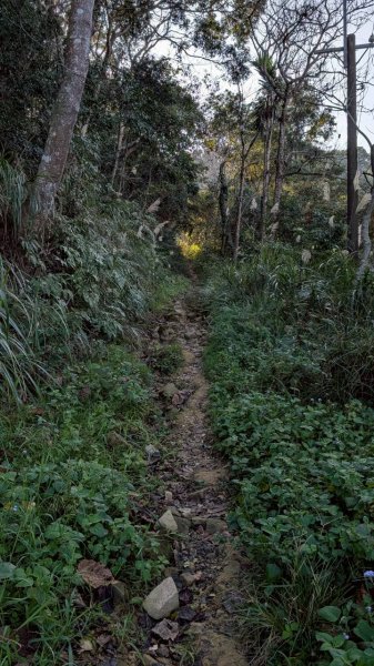 大橫屏山步道2977360